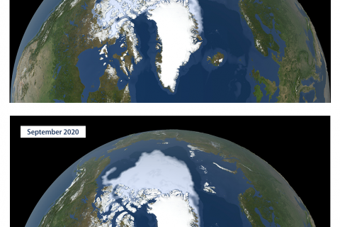 Dwindling Artic Sea ice
